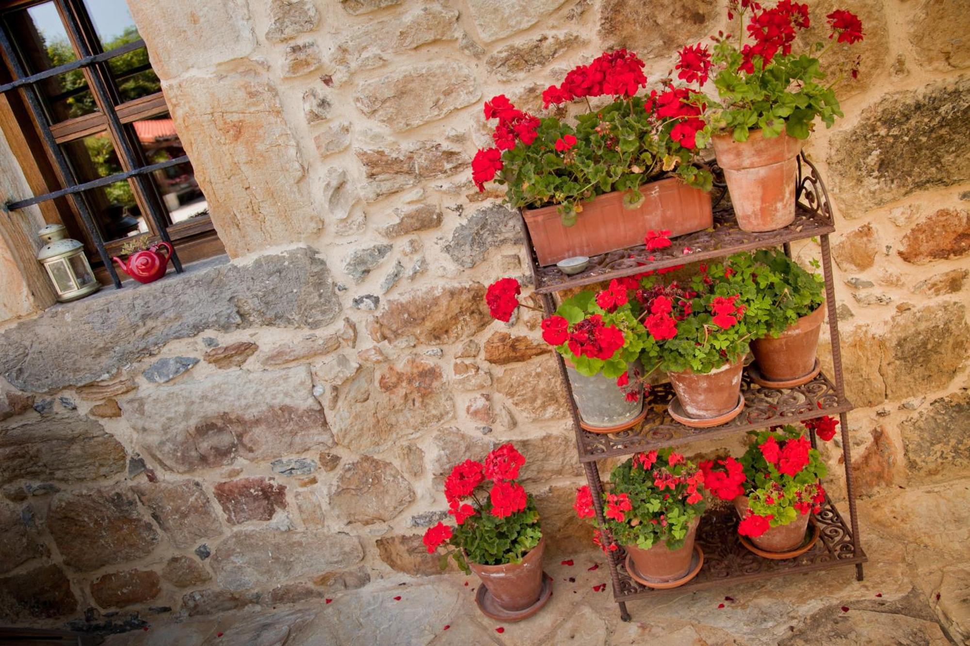 ホテル Casona De San Pantaleón de Aras エクステリア 写真